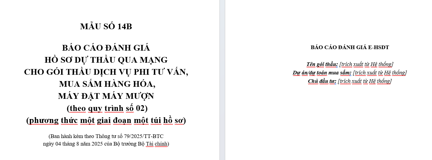 mẫu số 14b