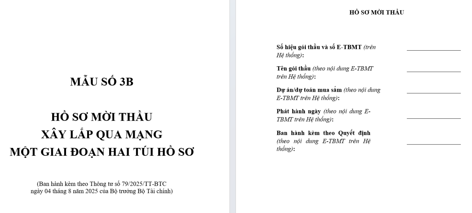 mẫu số 3B